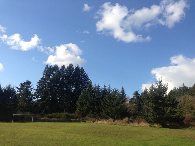 申花在开场