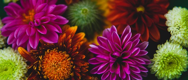 他们惯用的 他们惯用的