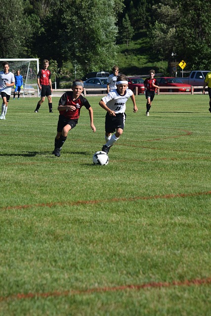 这种稳定的 这种稳定的