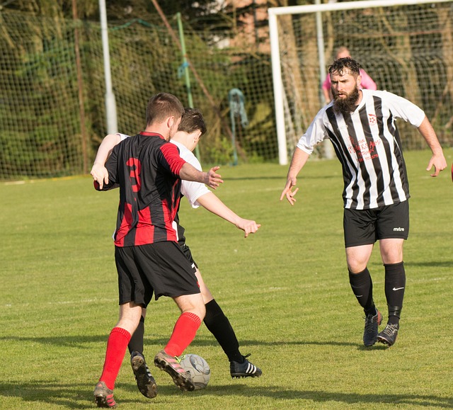 很遗憾今年 很遗憾今年