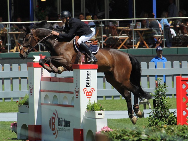 安全的再审 安全的再审