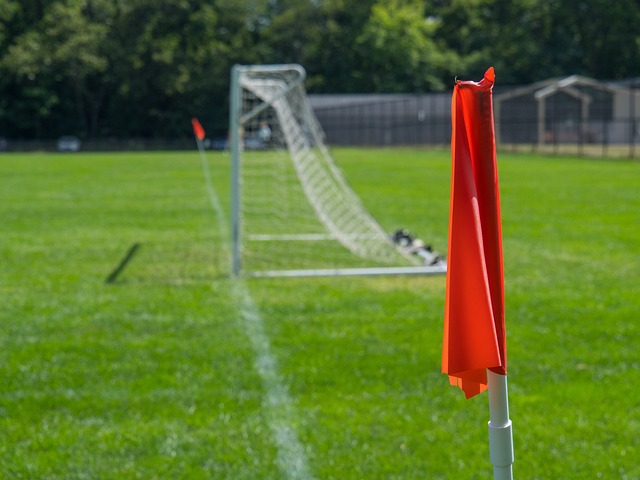 面对日本展 面对日本展