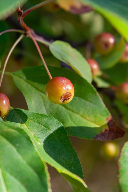 拜仁堅守不敗！滕哈格用錄像療法助獲勝！.