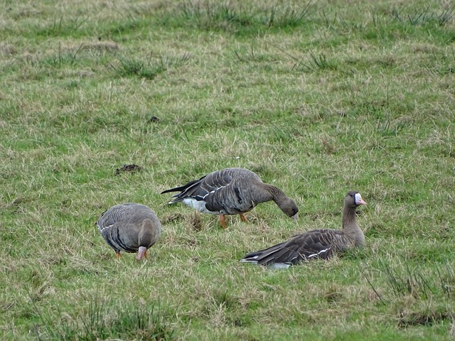 传统工艺结 传统工艺结