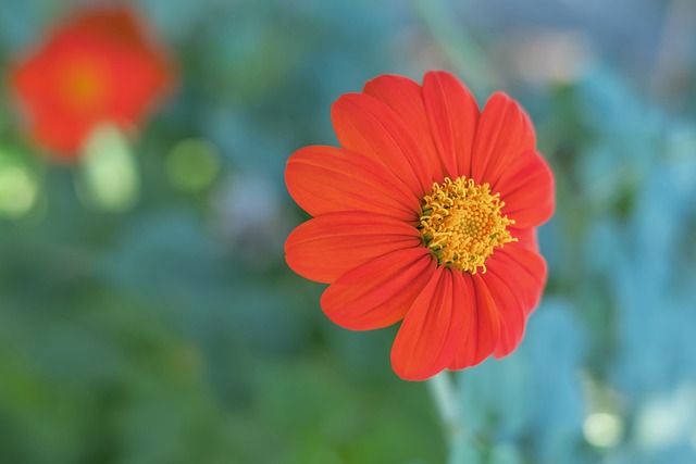 歐足聯官宣西班牙隊長阿爾巴當選全場MVP.