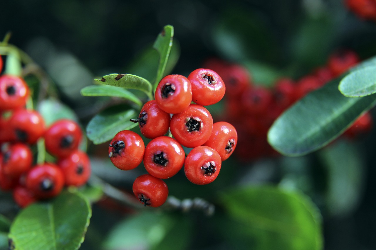 正式淘汰！301亿 212亿 204亿！三巨头回家钓鱼.