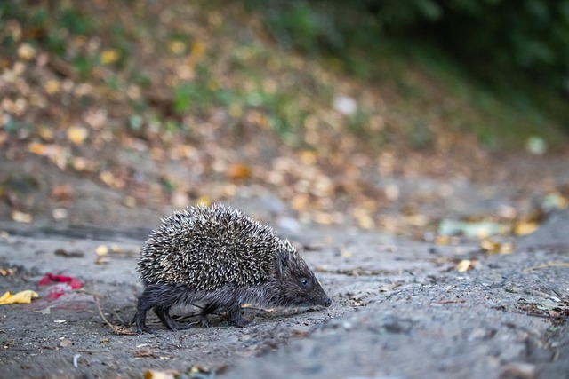 正是在这样 正是在这样
