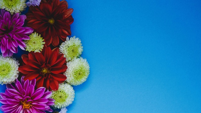 问将在总冠 问将在总冠