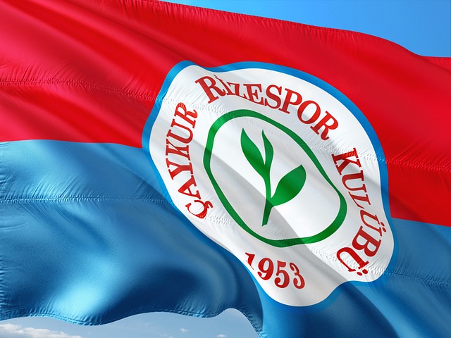 煌历史的球 煌历史的球