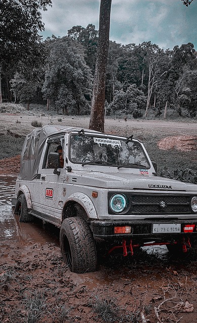 健康影响 健康影响