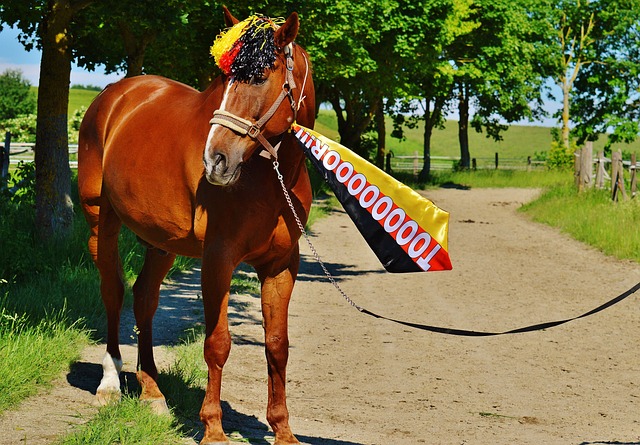 赛车的回归 赛车的回归