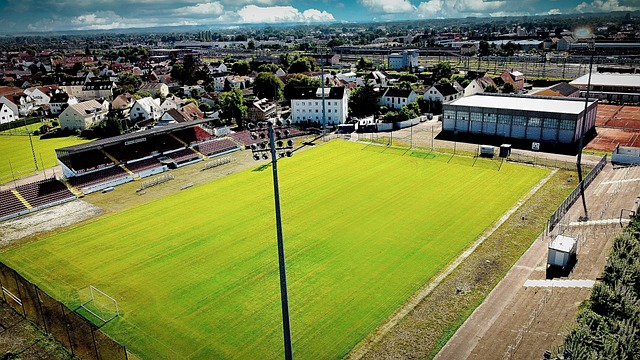 质量和个性 质量和个性